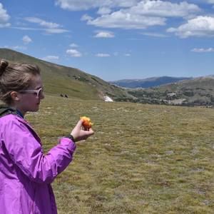 Meet your Posher, Katherine